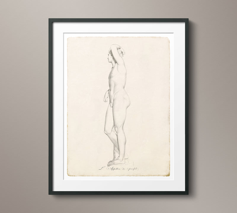 18th C. Engraving of Greek Male Nude - 1
