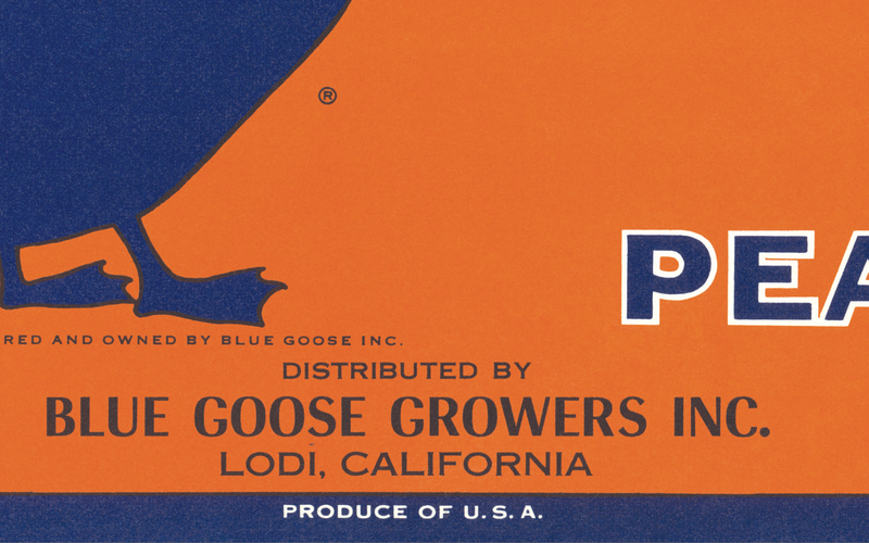 Vintage Produce Label Art - Blue Goose