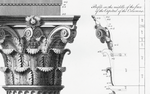Italian Neoclassical Column Etching - 4