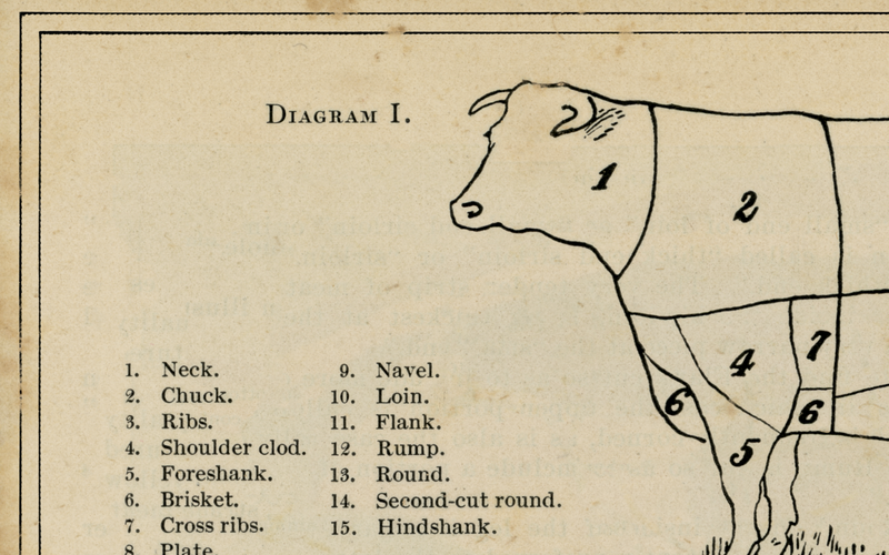 Vintage Butcher Chart - Cow