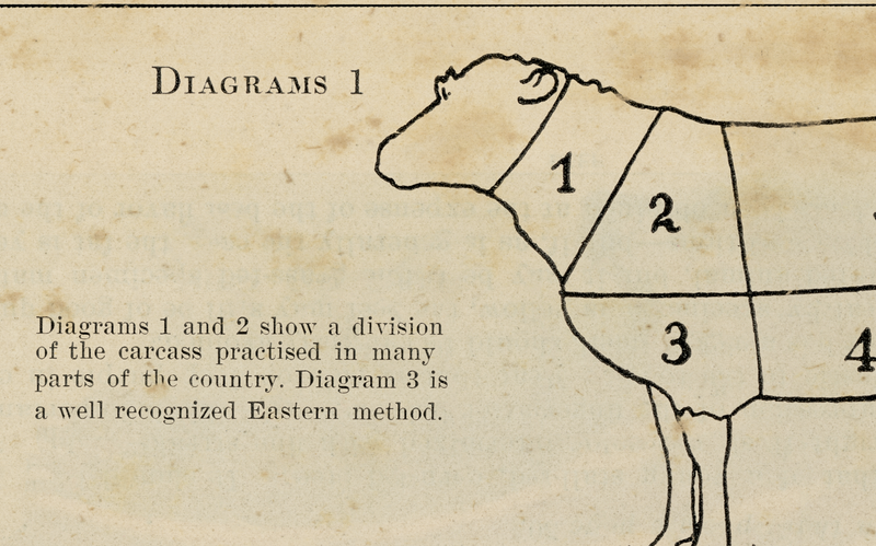 Vintage Butcher Chart - Sheep