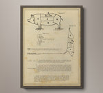 Vintage Butcher Chart - Pig