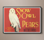 Vintage Produce Label Art - Snow Owl