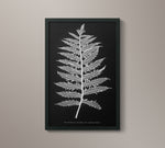 1859 English Fern Print 1