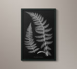 1859 English Fern Print 2