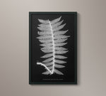 1859 English Fern Print 4