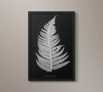 1859 English Fern Print 5