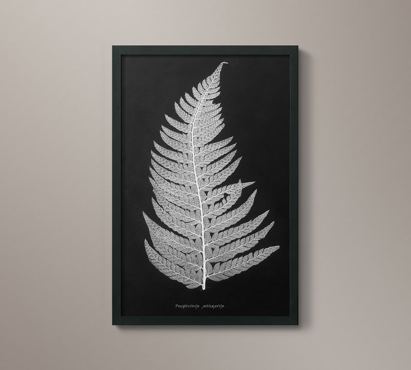 1859 English Fern Print 5