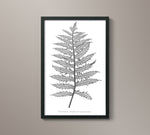 1859 English Fern Print 1