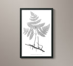 1859 English Fern Print 3
