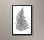 1859 English Fern Print 5