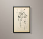 Vintage Fashion Illustrations - 6