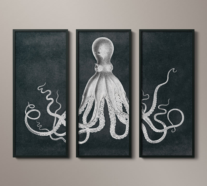 Lord Bodner Octopus Triptych