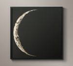 1910 Moon Phases - 1