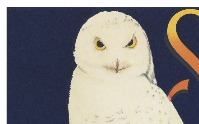 Vintage Produce Label Art - Snow Owl