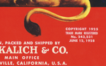 Vintage Produce Label Art - Lion