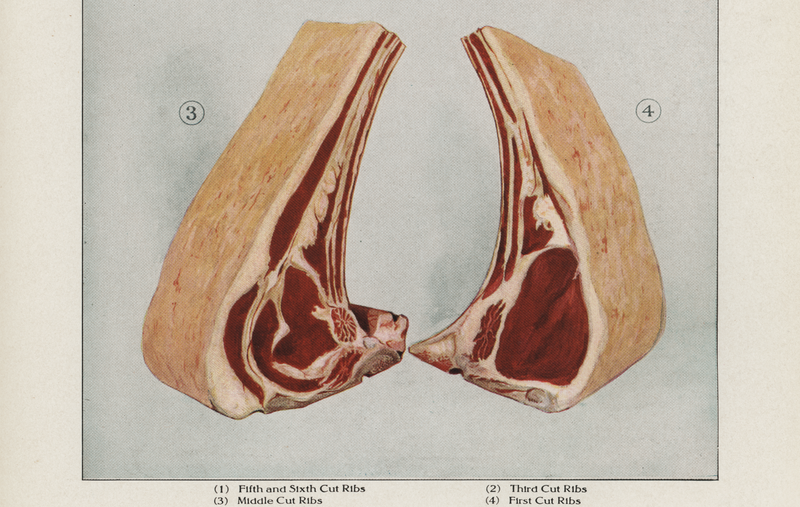 Vintage Butcher Cuts 4