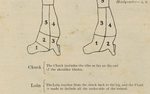 Vintage Butcher Chart - Sheep