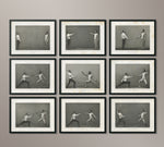 Vintage Fencing Collection - 4