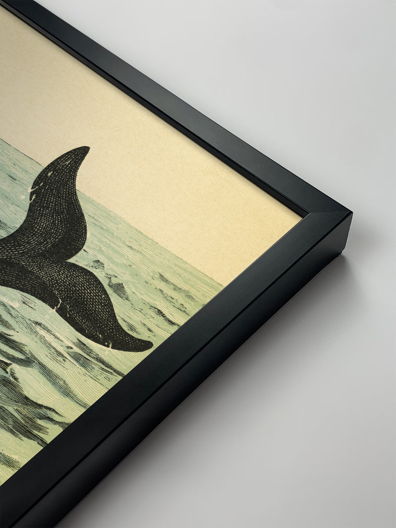 1890 Whale Triptych