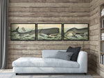 1890 Whale Triptych