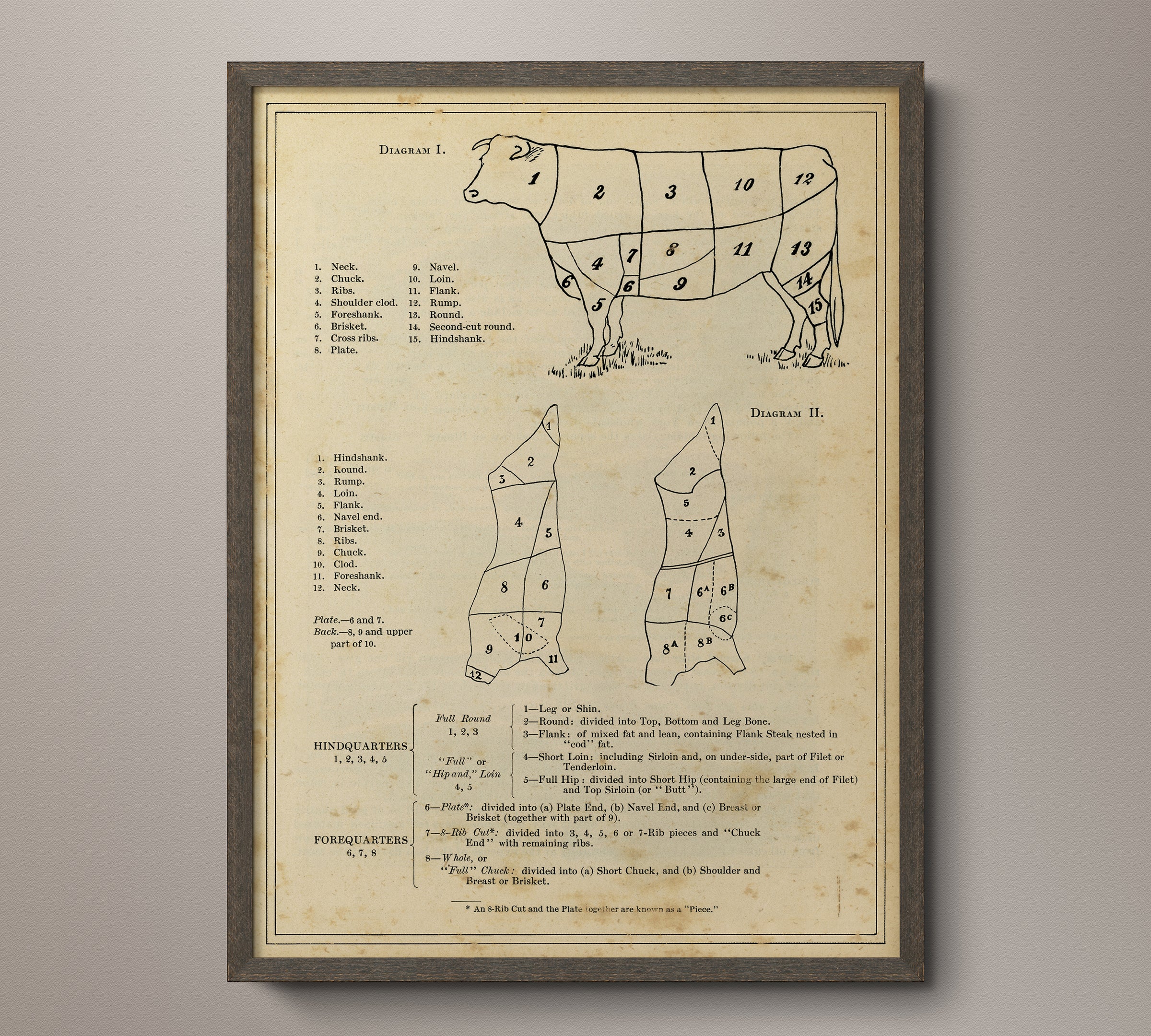Vintage Butcher Chart Cow Art Circa