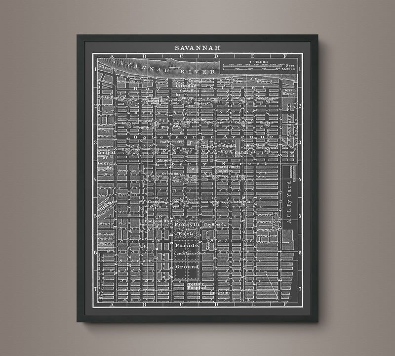 1900s Lithograph Map of Savannah