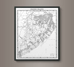 1900s Lithograph Map of Staten Island